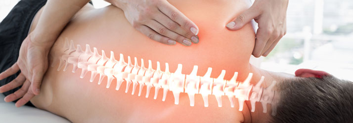 Chiropractic Snohomish WA Scoliosis Curved Spine